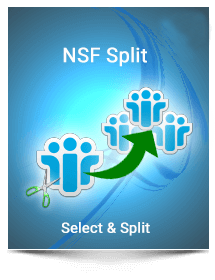 nsf split